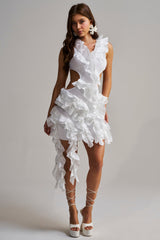 CRAZIER THAN YOUR EX FLOCKED MINI DRESS