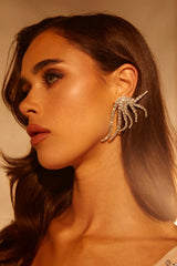 IN MY ZONE SILVER EARRING