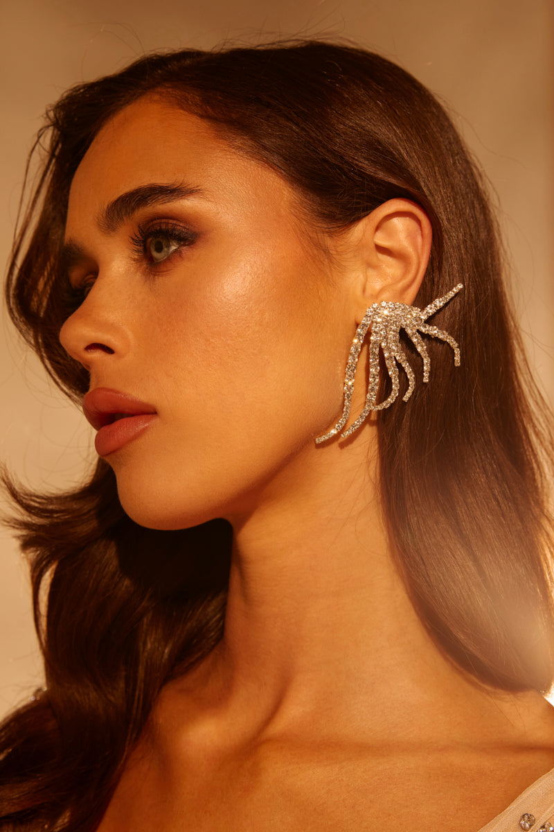 IN MY ZONE SILVER EARRING