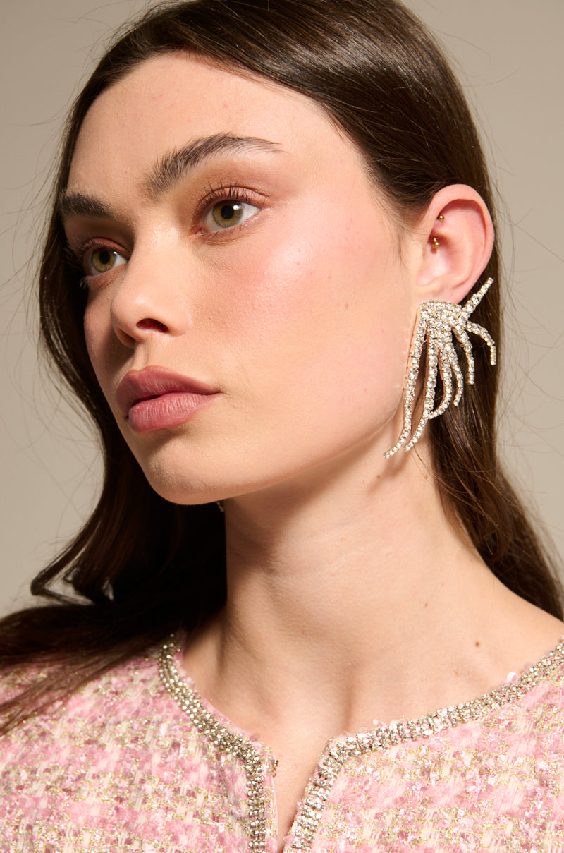 IN MY ZONE SILVER EARRING