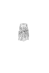SPIDEY SENSES RING